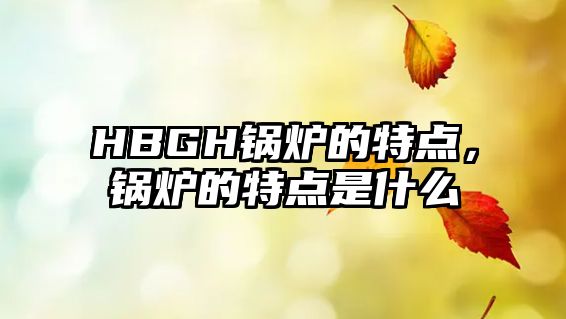 HBGH鍋爐的特點(diǎn)，鍋爐的特點(diǎn)是什么