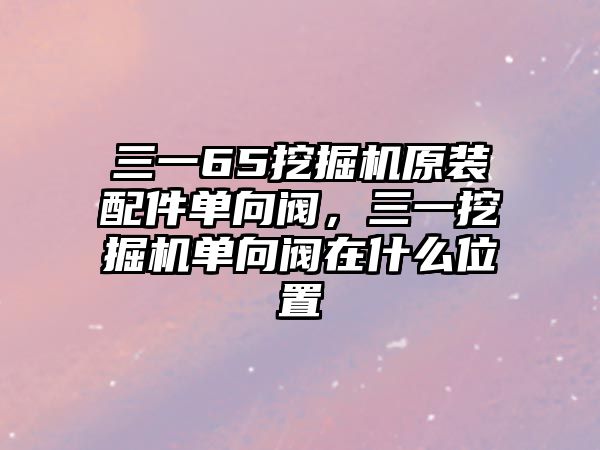 三一65挖掘機(jī)原裝配件單向閥，三一挖掘機(jī)單向閥在什么位置