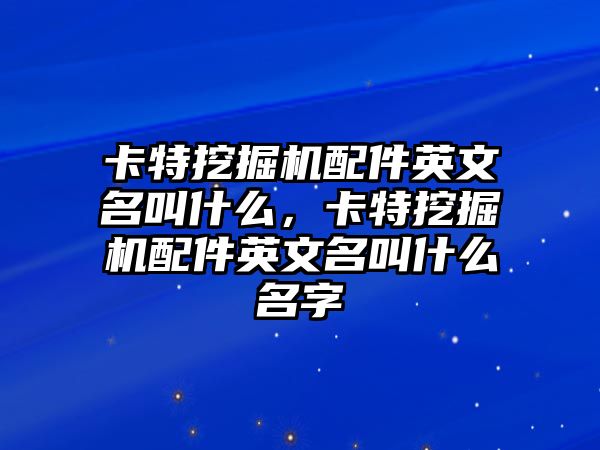 卡特挖掘機(jī)配件英文名叫什么，卡特挖掘機(jī)配件英文名叫什么名字