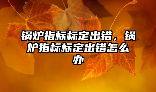 鍋爐指標標定出錯，鍋爐指標標定出錯怎么辦