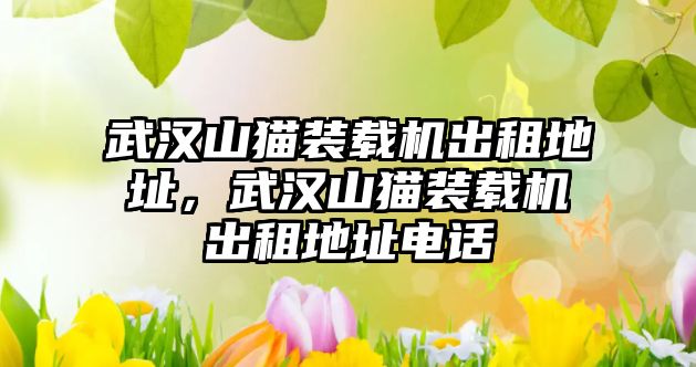 武漢山貓裝載機出租地址，武漢山貓裝載機出租地址電話