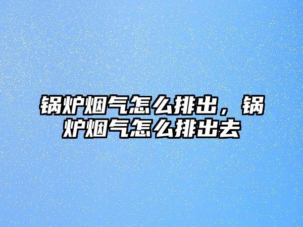 鍋爐煙氣怎么排出，鍋爐煙氣怎么排出去