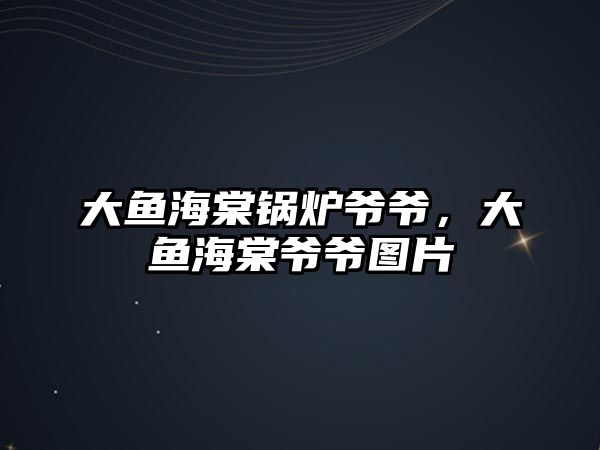 大魚海棠鍋爐爺爺，大魚海棠爺爺圖片