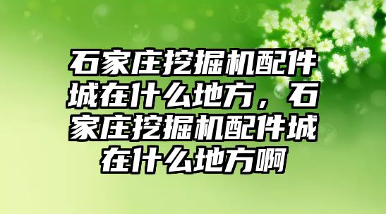 石家莊挖掘機(jī)配件城在什么地方，石家莊挖掘機(jī)配件城在什么地方啊