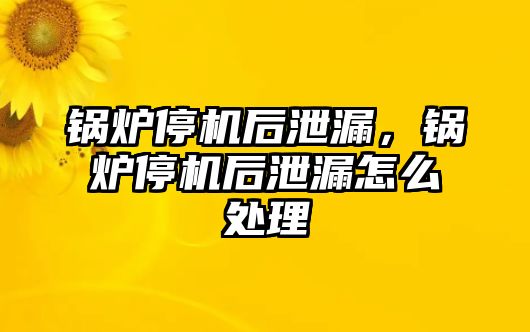 鍋爐停機后泄漏，鍋爐停機后泄漏怎么處理