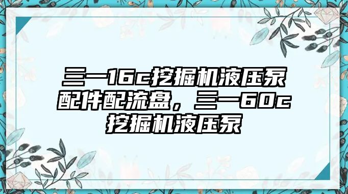 三一16c挖掘機液壓泵配件配流盤，三一60c挖掘機液壓泵