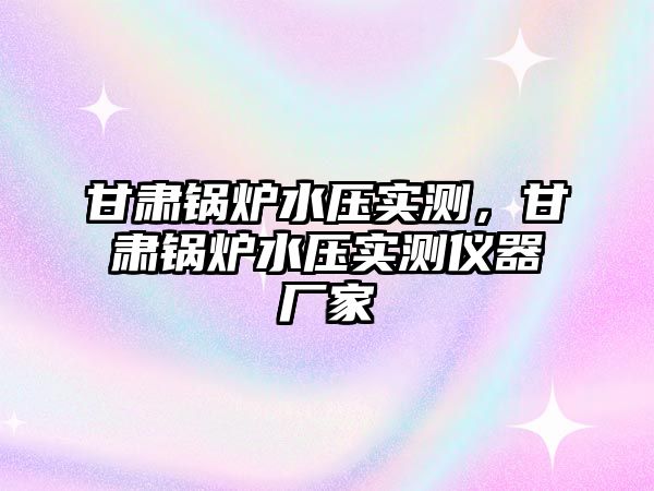 甘肅鍋爐水壓實測，甘肅鍋爐水壓實測儀器廠家