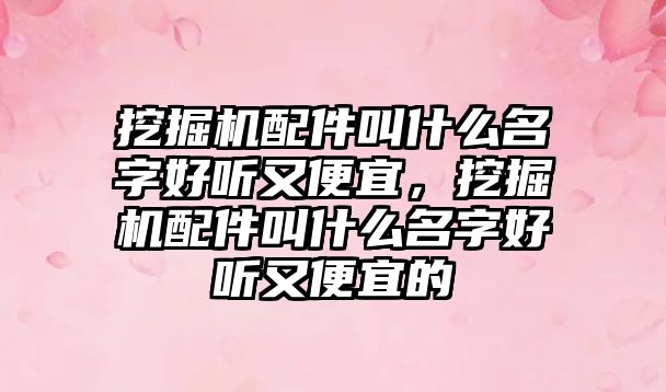 挖掘機配件叫什么名字好聽又便宜，挖掘機配件叫什么名字好聽又便宜的