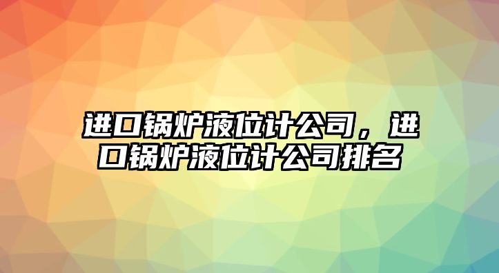 進(jìn)口鍋爐液位計(jì)公司，進(jìn)口鍋爐液位計(jì)公司排名