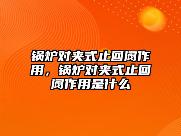 鍋爐對夾式止回閥作用，鍋爐對夾式止回閥作用是什么