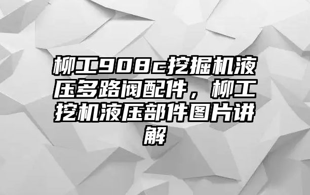 柳工908c挖掘機(jī)液壓多路閥配件，柳工挖機(jī)液壓部件圖片講解