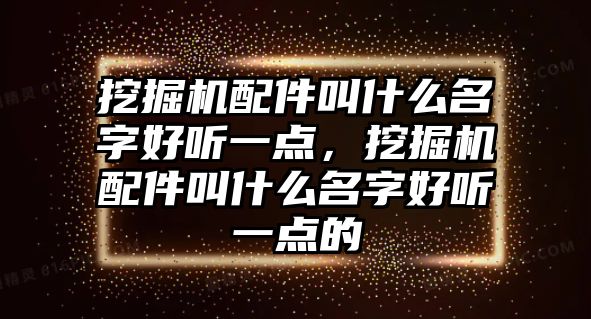 挖掘機配件叫什么名字好聽一點，挖掘機配件叫什么名字好聽一點的