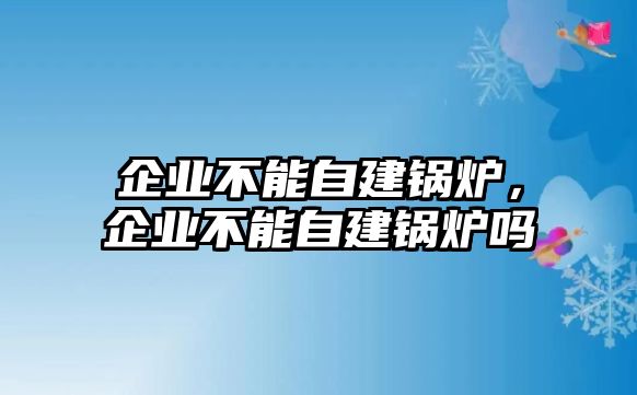 企業(yè)不能自建鍋爐，企業(yè)不能自建鍋爐嗎