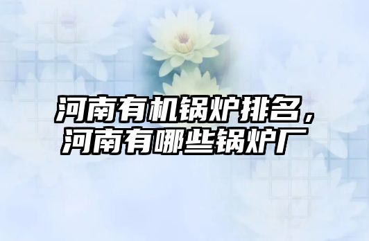 河南有機鍋爐排名，河南有哪些鍋爐廠