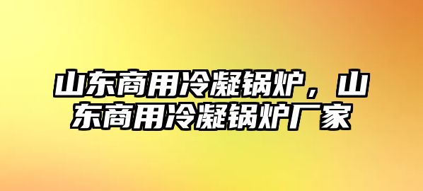 山東商用冷凝鍋爐，山東商用冷凝鍋爐廠家