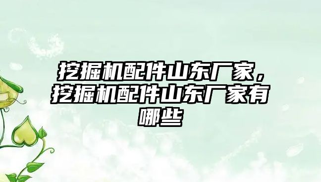 挖掘機配件山東廠家，挖掘機配件山東廠家有哪些