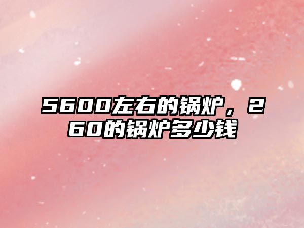 5600左右的鍋爐，260的鍋爐多少錢