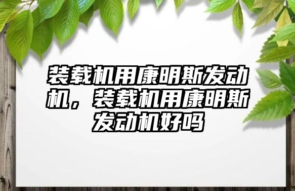 裝載機用康明斯發(fā)動機，裝載機用康明斯發(fā)動機好嗎