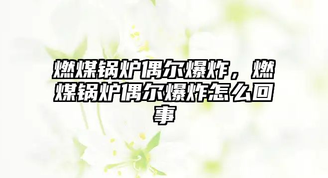 燃煤鍋爐偶爾爆炸，燃煤鍋爐偶爾爆炸怎么回事