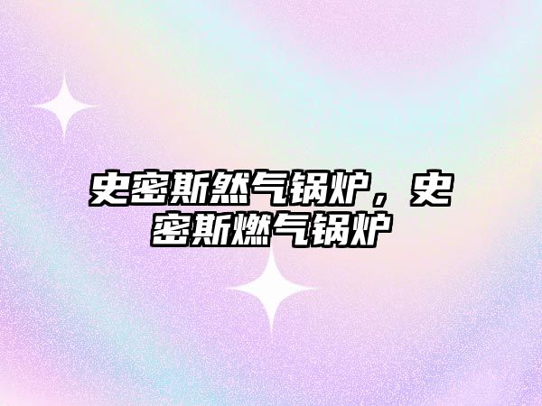 史密斯然氣鍋爐，史密斯燃?xì)忮仩t