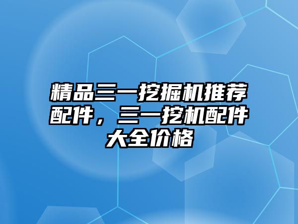 精品三一挖掘機推薦配件，三一挖機配件大全價格