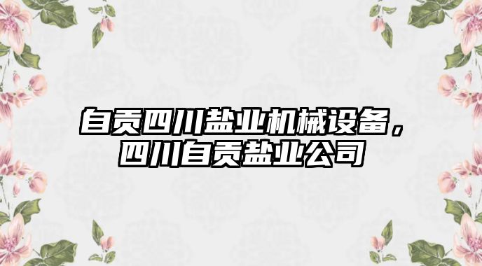 自貢四川鹽業(yè)機械設備，四川自貢鹽業(yè)公司