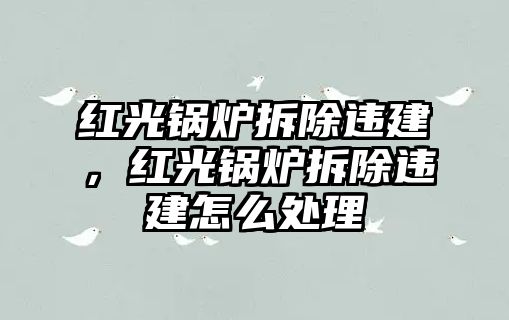 紅光鍋爐拆除違建，紅光鍋爐拆除違建怎么處理