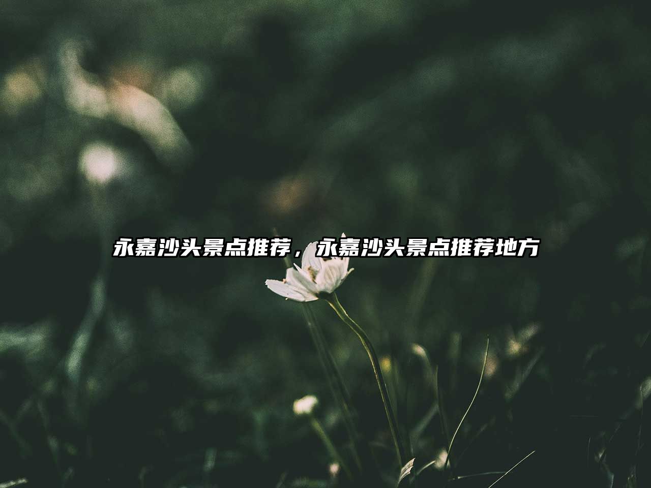 永嘉沙頭景點(diǎn)推薦，永嘉沙頭景點(diǎn)推薦地方