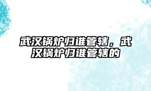 武漢鍋爐歸誰管轄，武漢鍋爐歸誰管轄的