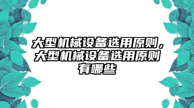 大型機械設(shè)備選用原則，大型機械設(shè)備選用原則有哪些