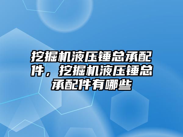 挖掘機液壓錘總承配件，挖掘機液壓錘總承配件有哪些