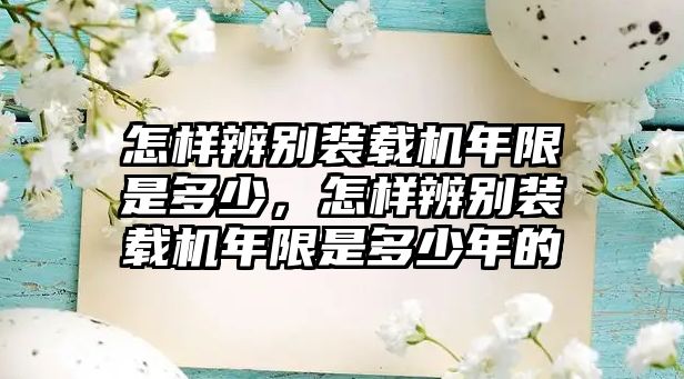 怎樣辨別裝載機(jī)年限是多少，怎樣辨別裝載機(jī)年限是多少年的