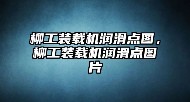 柳工裝載機(jī)潤(rùn)滑點(diǎn)圖，柳工裝載機(jī)潤(rùn)滑點(diǎn)圖片