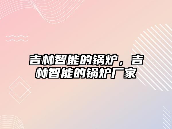 吉林智能的鍋爐，吉林智能的鍋爐廠家