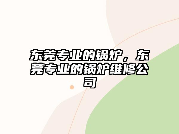 東莞專業(yè)的鍋爐，東莞專業(yè)的鍋爐維修公司