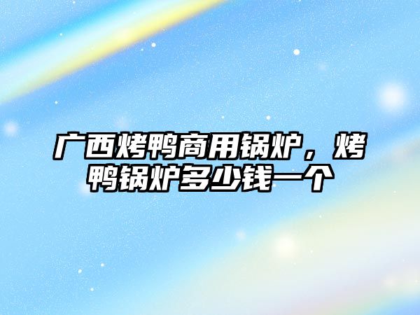 廣西烤鴨商用鍋爐，烤鴨鍋爐多少錢一個(gè)