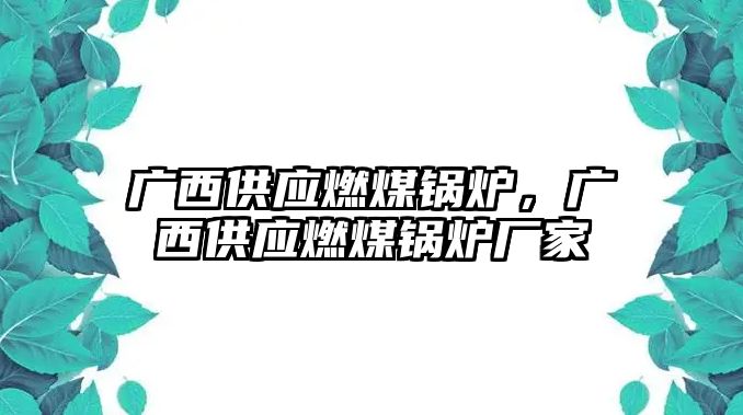 廣西供應燃煤鍋爐，廣西供應燃煤鍋爐廠家