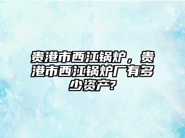 貴港市西江鍋爐，貴港市西江鍋爐廠有多少資產(chǎn)?