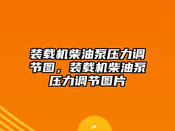 裝載機(jī)柴油泵壓力調(diào)節(jié)圖，裝載機(jī)柴油泵壓力調(diào)節(jié)圖片