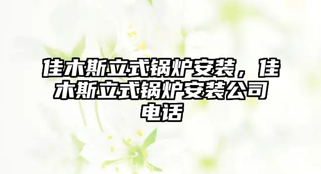 佳木斯立式鍋爐安裝，佳木斯立式鍋爐安裝公司電話