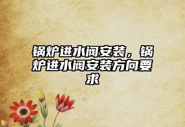 鍋爐進(jìn)水閥安裝，鍋爐進(jìn)水閥安裝方向要求