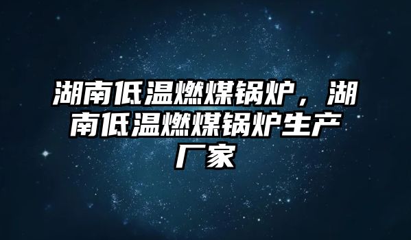 湖南低溫燃煤鍋爐，湖南低溫燃煤鍋爐生產(chǎn)廠家