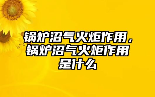 鍋爐沼氣火炬作用，鍋爐沼氣火炬作用是什么