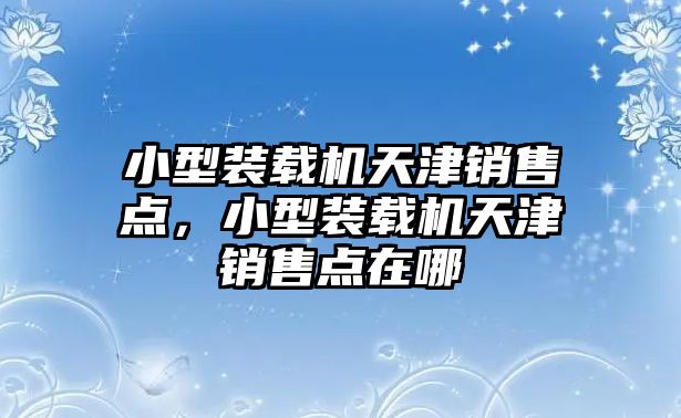 小型裝載機(jī)天津銷售點(diǎn)，小型裝載機(jī)天津銷售點(diǎn)在哪