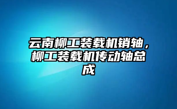 云南柳工裝載機銷軸，柳工裝載機傳動軸總成