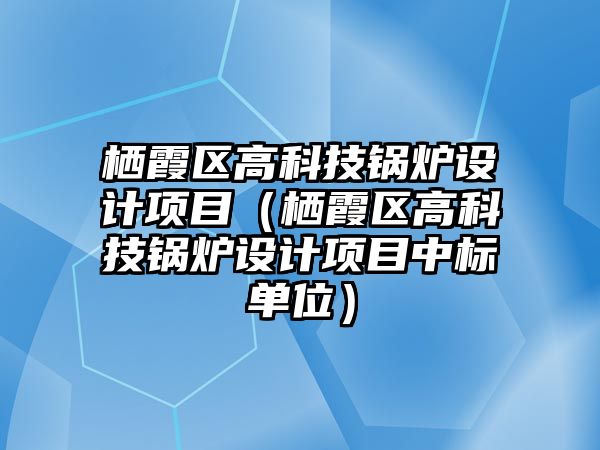 棲霞區(qū)高科技鍋爐設計項目（棲霞區(qū)高科技鍋爐設計項目中標單位）